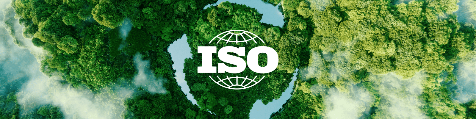 Card Sessa o Noti cias ISO 14001